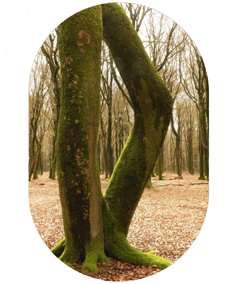 Gaan staan voor wat je wilt