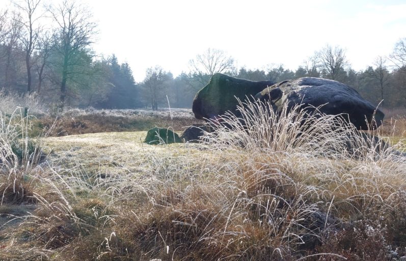 De natuur spiegelt alles
