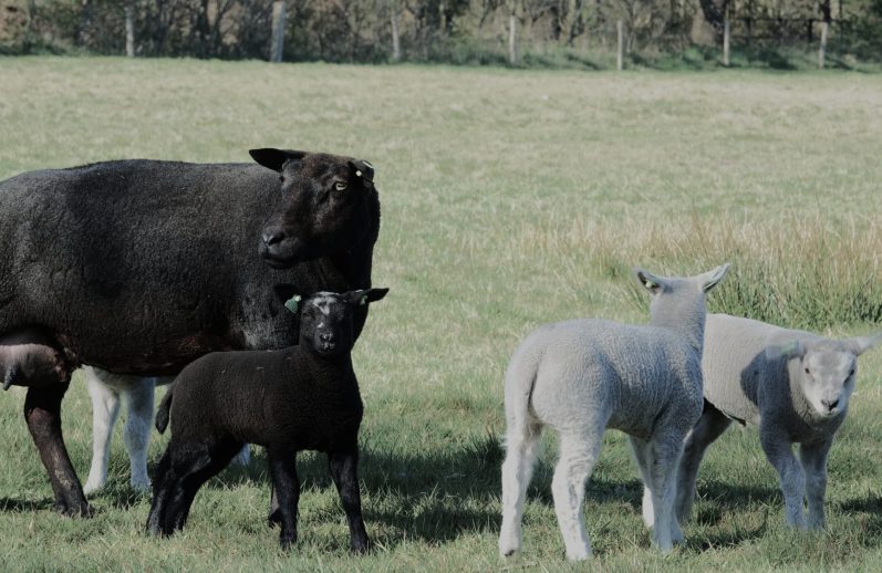 Iedereen is van harte welkom