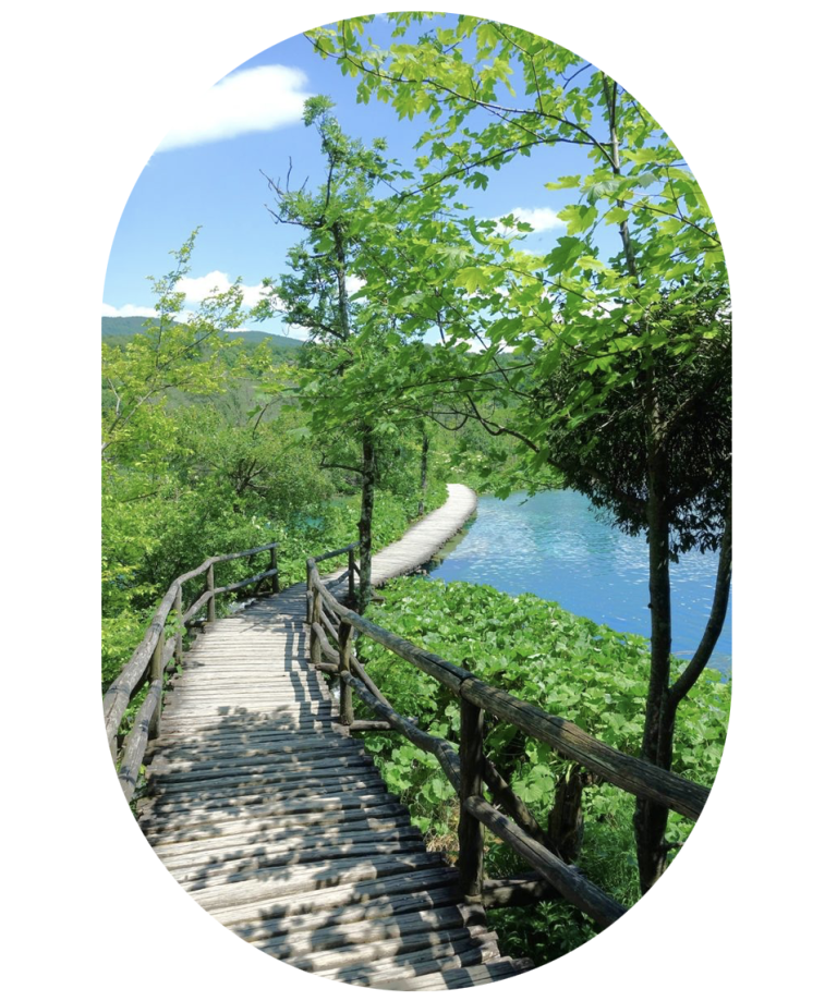 Dharma, het levenspad Yin Yoga