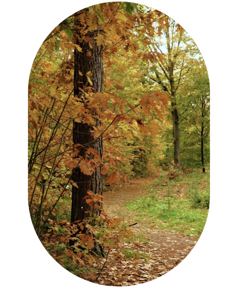 Dharma, een levenspad