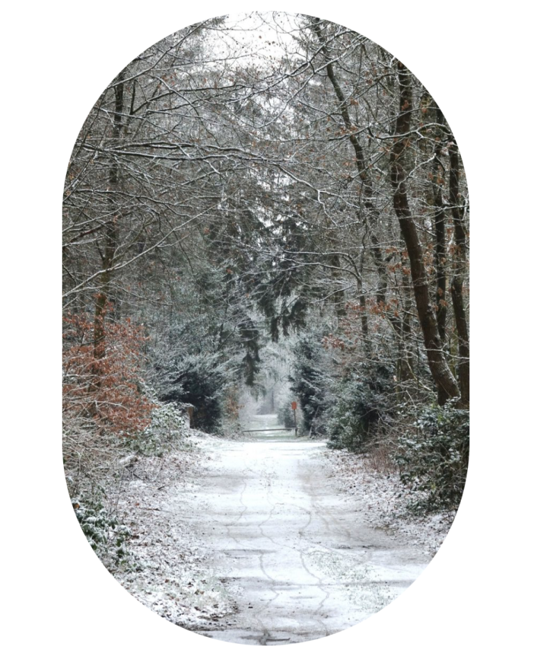 Soms is het levenspad koud en grillig