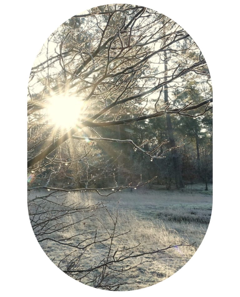 Het 'ijs' in jou weer laten smelten